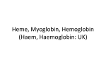 Heme, Myoglobin, Hemoglobin