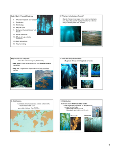 16_kelp forest ecology