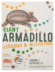 Giant Armadillo Lesson 1