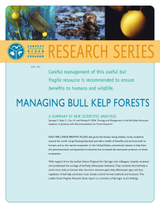 managing bull kelp forests