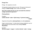 SNC1D Energy Flow and Ecological Pyramids Note