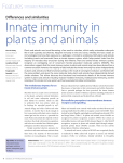 Innate immunity in plants and animals - Ausubel Lab