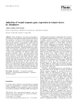 Induction of wound response gene expression in tomato leaves by