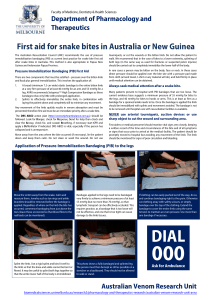 First aid for snake bites in Australia or New Guinea