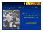 Energy systems of a runner. Presentation for Level