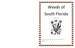 Weeds of South Florida - Palm Beach State College