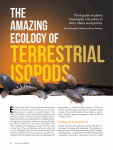 The amazing ecology of terrestrial isopods: Third