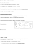 Taxonomic Evidence-Vegetative Characteristics