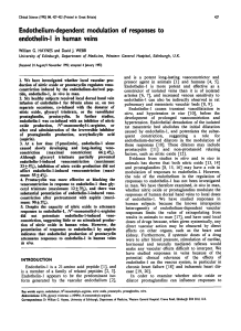 Endothelium-Dependent Modulation of