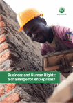 Business and Human Rights: a challenge for enterprises?