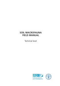 Soil macrofauna field manual – technical level