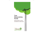 Tree Stewardship Guide