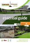 essential guide