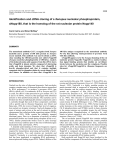 Identification and cDNA cloning of a Xenopus nucleolar