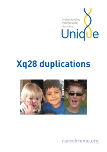 Xq28 duplications