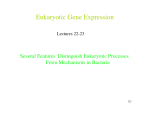Several Features Distinguish Eukaryotic Processes From