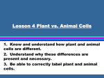 Lesson 6 Plant vs. Animal Cells
