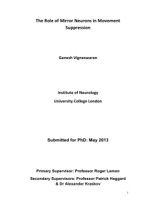 The Role of Mirror Neurons in Movement