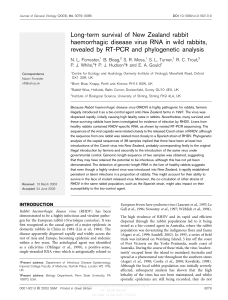 Long-term survival of New Zealand rabbit haemorrhagic disease