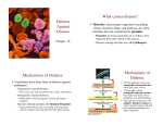 Defense Against Disease What causes disease? Mechanisms of
