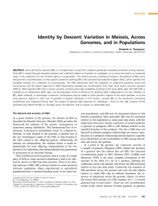 Identity by Descent: Variation in Meiosis, Across