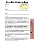 Earthworm observation