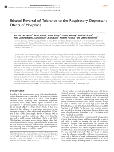 Ethanol Reversal of Tolerance to the Respiratory Depressant Effects