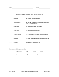 Cell Cookie Quiz - Beacon Learning Center