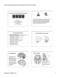 KIDS, Inc. - School Neuropsychology