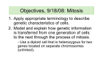 Objectives, 9/18/08: Mitosis