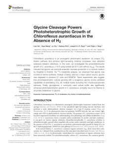 Glycine Cleavage Powers Photoheterotrophic Growth of