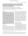 A bi-functional siRNA construct induces RNA