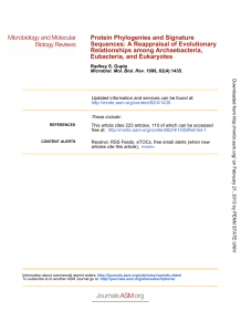 Eubacteria, and Eukaryotes Relationships