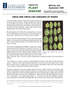 Virus and Virus-like Diseases of Roses