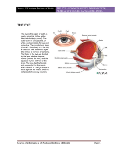 THE EYE - Prabha Eye Clinic