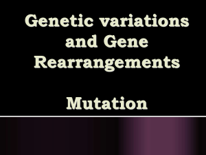Genetic variations and Gene RearrangementsMutation