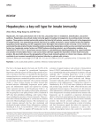 Hepatocytes: a key cell type for innate immunity