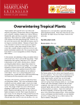 Overwintering Tropical Plants - University of Maryland Extension