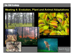 Meeting 4: Evolution, Plant and Animal Adaptations