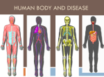 Human body and disease