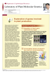 Laboratory of Plant Molecular Genetics