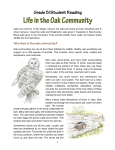 Life in the Oak Community - San Diego Children and Nature