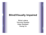 Blind/Visually Impaired