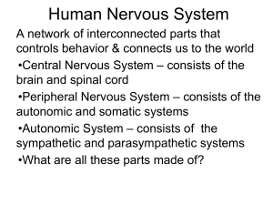 Intro Chap 2n.ppt