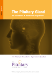 The Pituitary Gland - The Pituitary Foundation