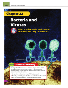 Bacteria and Viruses