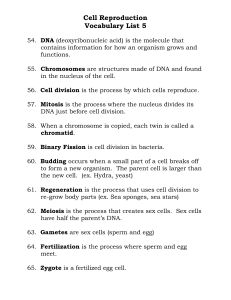 Cell Reproduction Vocabulary List 5