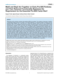 Mak5 and Ebp2 Act Together on Early Pre-60S Particles and