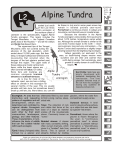 Alpine Tundra - Torngat ecoregion 2