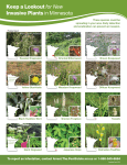 Invasive Plants in Minnesota: Keep a Lookout (PDF: 3.91 MB / 2